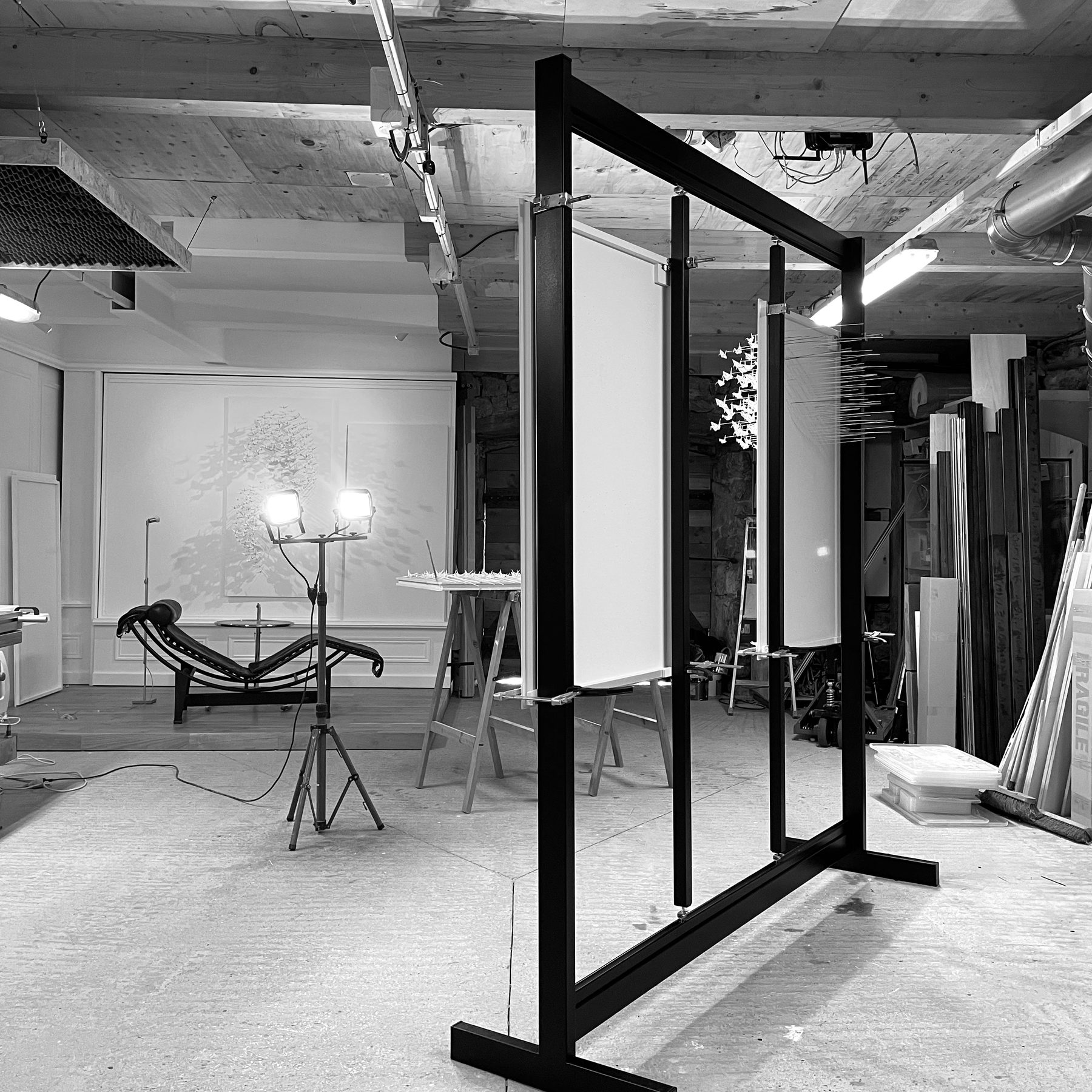 Le studio en noir et blanc : un grand cadre noir, des projecteurs et une Murmuration au mur du fond.