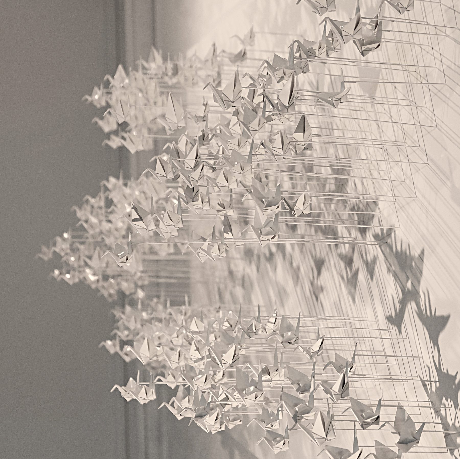 Murmuration 23, nuée de grues en papier blanc sur panneau.