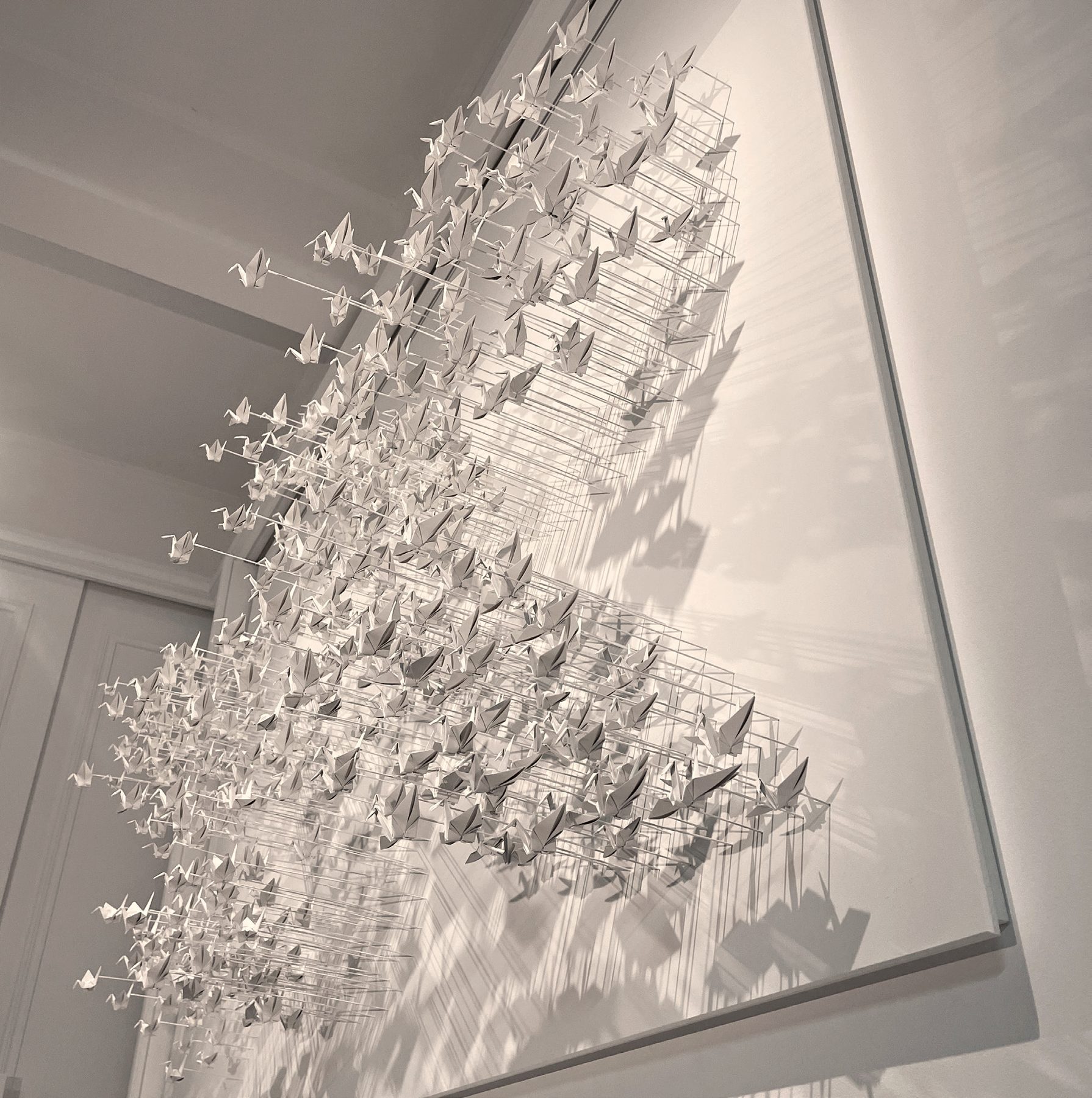 Murmuration 31, nuée de grues en papier blanc sur panneau.