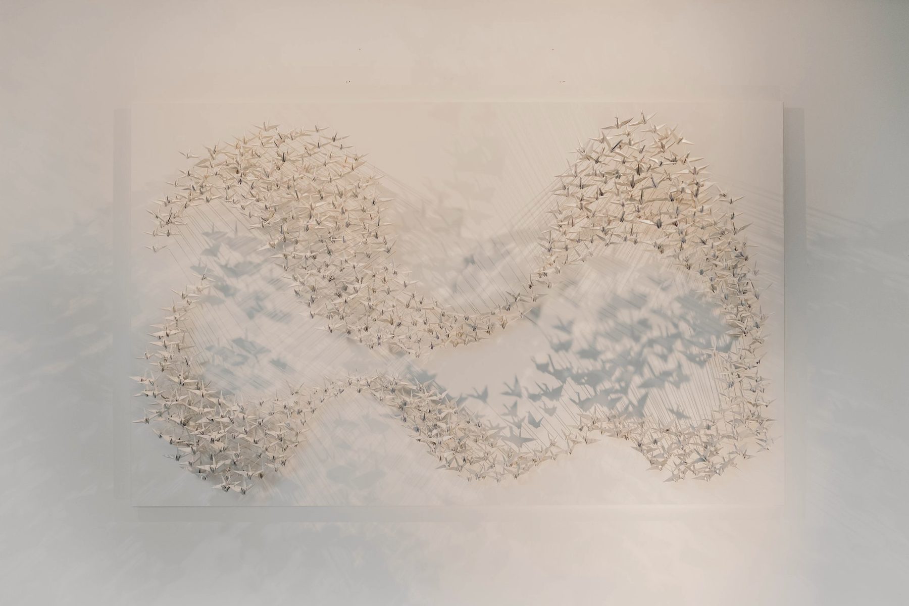 Murmuration en papier : deux nuées de grues blanches en forme de vague sur un panneau blanc, avec leurs ombres portées.