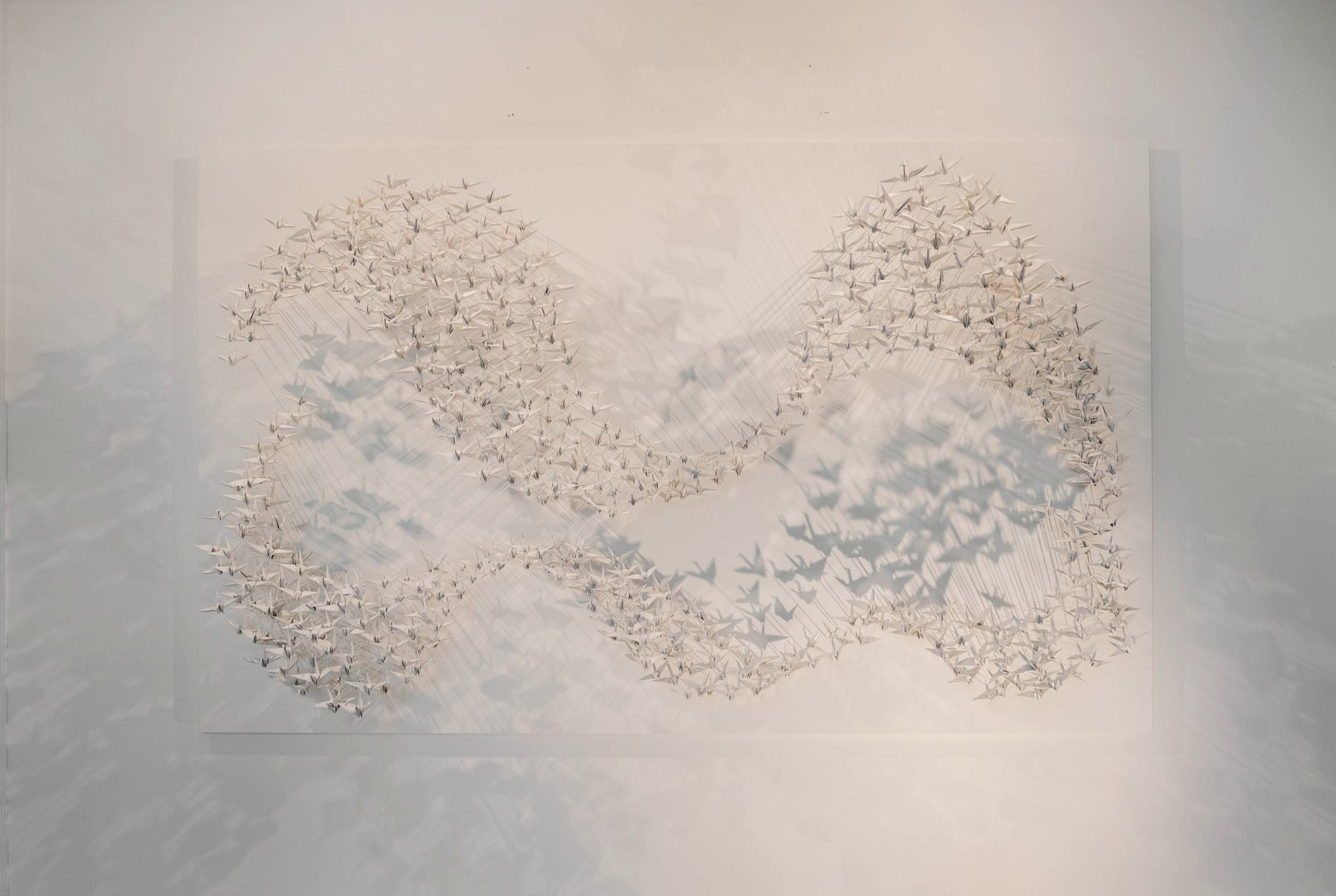 Vue d'ensemble d'une Murmuration en papier, deux boucles de grues blanches et leurs ombres.